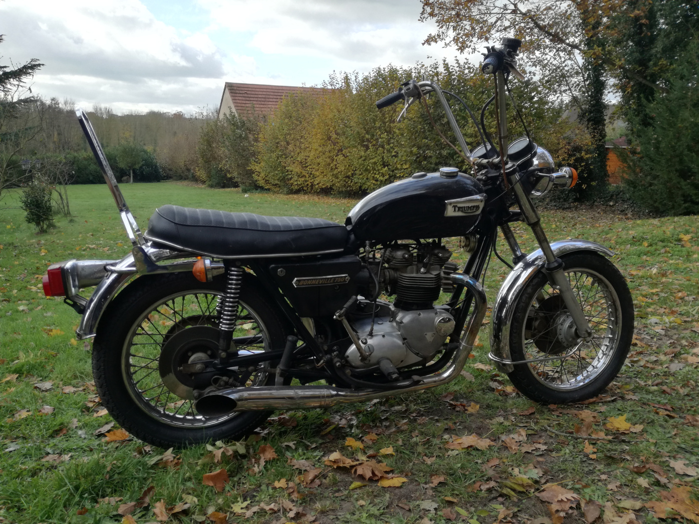 TRIUMPH T140 1975